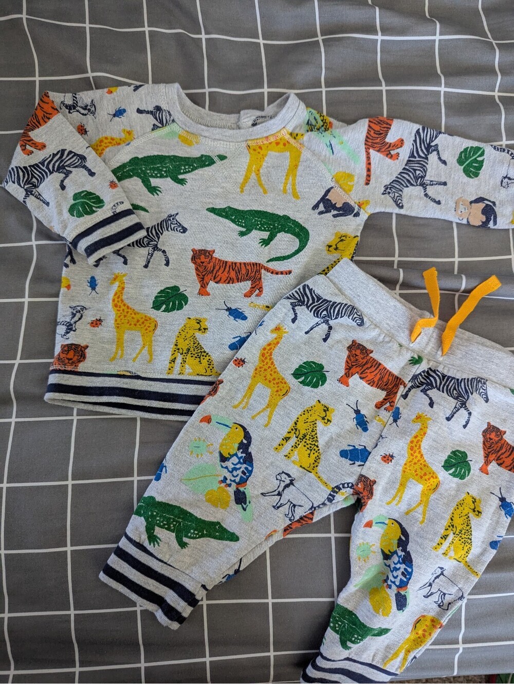 Blue zoo animal sweatshirt and joggers outfit